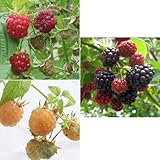 ���i�̏ڍ�