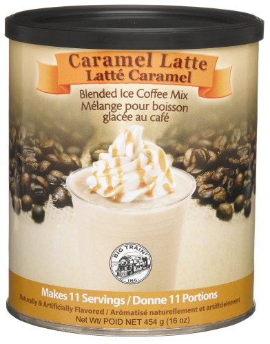 Big Train Caramel Latte Blended Ice Coffee, 16-Ounce Canisters (Pack of 12) by Big Train