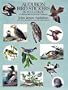 Audubon Bird Stickers in Full Color: 53 Pressure-Sensitive Designs