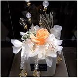 【送料無料】　Jewel Rosa （ジュエルローザ） 　“Aphrodite ”（アフロディテ）S