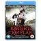 Films for a great 'Knight' in