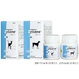 ���i�̏ڍ�