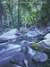 Environmental Science: Working with the Earth