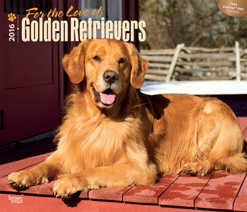 Golden Retrievers, For the Love of 2016 Deluxe (Multilingual Edition)