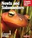 Newts and Salamanders (Complete Pet Owner's Manual) Newts and Salamanders (Complete Pet Owner's Manual)