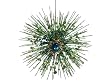 7" Regal Peacock Green Sequined Starburst Christmas Ornament with Jewel Accents