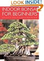 Indoor Bonsai for Beginners: selection, care, training