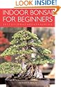 Indoor Bonsai for Beginners
