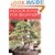 Indoor Bonsai for Beginners: selection, care, training