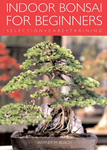 Indoor Bonsai for Beginners: selection, care, 