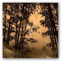 Shadow Play I von Madeleine Endo Kunstdruck