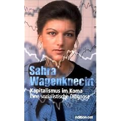 Kapitalismus im Koma. Eine sozialistische Diagnose