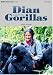 Book Dominoes: Level 3: 1,000 Word Vocabulary Dian and the Gorillas (Dominoes Three)