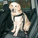 Dog Car Safety Belt With Short Lead - Large