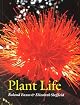 Plant Life