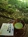 Tea Ceremony in Bamboo Forest, Kamakura City, Kanagawa Prefecture, Japan, Asia Photographic Poster Print by Chris Kober, 24x32