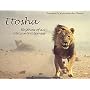 Etosha: Rhythms of an African Wilderness