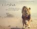 Etosha: Rhythms of an African Wilderness