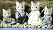 Calico Critters Fisher Cat Family