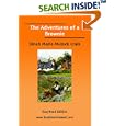 The Adventures of a Brownie (EasyRead Edition) by Dinah Maria Mulock Craik