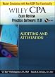 Wiley CPA Examination Review Practice Software-Audit 11.0 (Wiley CPA Examination Review for Windows)