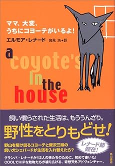 ママ、大変、うちにコヨーテがいるよ！