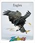 Eagles (Zoobooks)