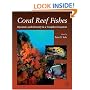 Coral Reef Fishes: Dynamics and Diversity in a Complex Ecosystem