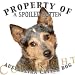 Australian Cattle Dog BLUE Mousepad Dog Mouse Pad Property Of