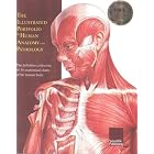 The Illustrated Portfolio of Human Anatomy And Pathology Anatomical Wall Chart: The... by  Scientific Publishing