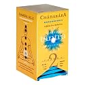 Stash Premium Chanakara Tea, Chakra 2, Dragonfruit, Tea Bags, 18-Count Boxes (Pack of 6)