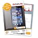 atFoliX FX-Antireflex Displayschutzfolie für Sony-Ericsson Xperia X10 (2-er Pack) - Displayschutz antireflektierend! Höchste Qualität - Made in Germany!