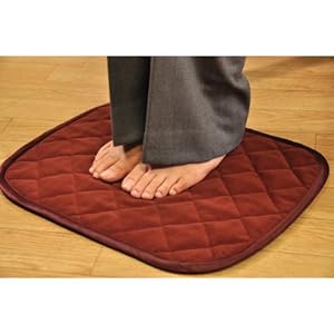 【クリックで詳細表示】東京西川(西川産業) エコ暖 あったかパッド ミニ(45X35cm) レッドブラウン EDV0801924