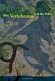 How Vertebrates Left the Water