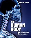 The human body : a visual guide to human anatomy