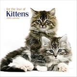 For the Love of Kittens 2010 Mini Wall Calendar