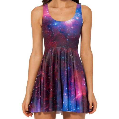 Women Sexy Pleated Knee-length Galaxy Raven Reversible Skater Dress (M)