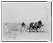 Historic Print (L): The Arkansas farmer, undismayed by last year's drought, prepares ...
