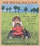 The Special Raccoon: Helping a Child Learn about Handicaps and Love (Let's Talk)