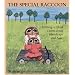 The Special Raccoon: Helping a Child Learn about Handicaps and Love (Let's Talk)