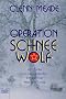 Operation Schneewolf: Thriller