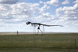 Skeleton man walking skeleton dinosaur, rural South Dakota - 16'x20' - Fine-Art Gicle Photographic Print by Carol M. Highsmith