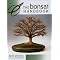 Learn the Care and Feeding of Bonsai