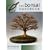 The Bonsai Handbook