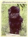 Affenpinscher Champions, 1999-2004