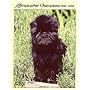 Affenpinscher Champions, 1999-2004