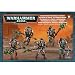 Warhammer 40k: Necrons - Lychguard / Triarch Praetorians
