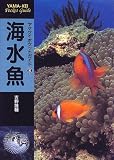 海水魚 (ヤマケイポケットガイド)