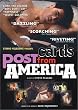 Postcards from America