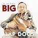The Little Book of Big Lap Dogs (Little Book Of... (Willow Creek Press))